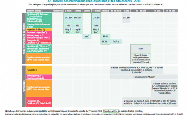 Calendrier Vaccinal 18 Creche Koalakids Fr Calendrier Vaccinal 18 Creche Koalakids Fr